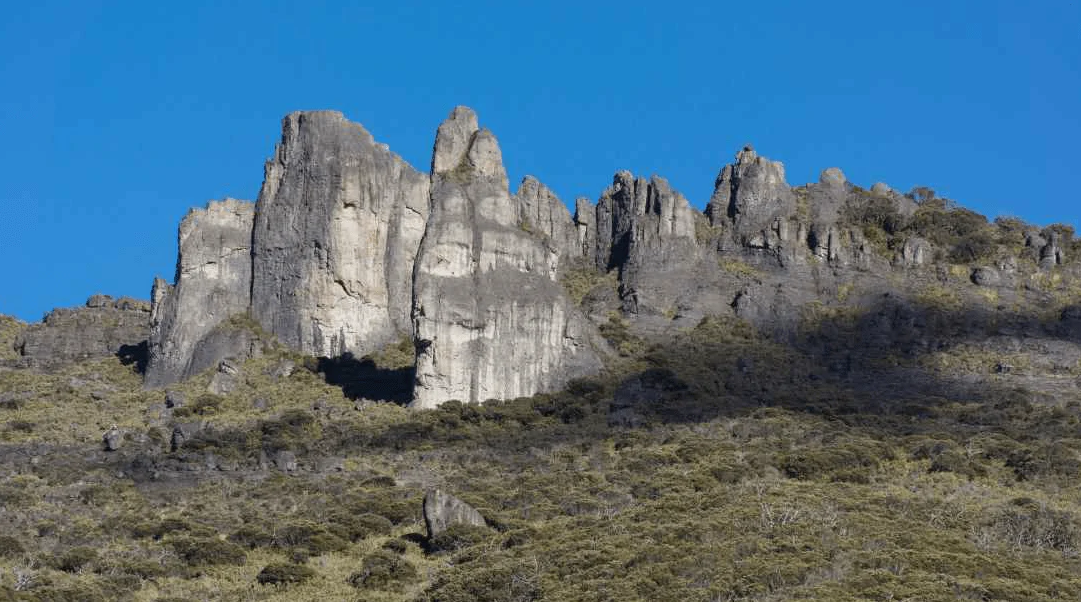 Cerro Chirripó, San José Province, Costa Rica